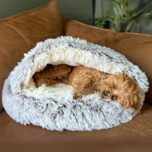 Cozy Pet Bed