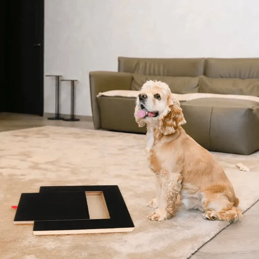 Stress-Free Grooming Nails Board