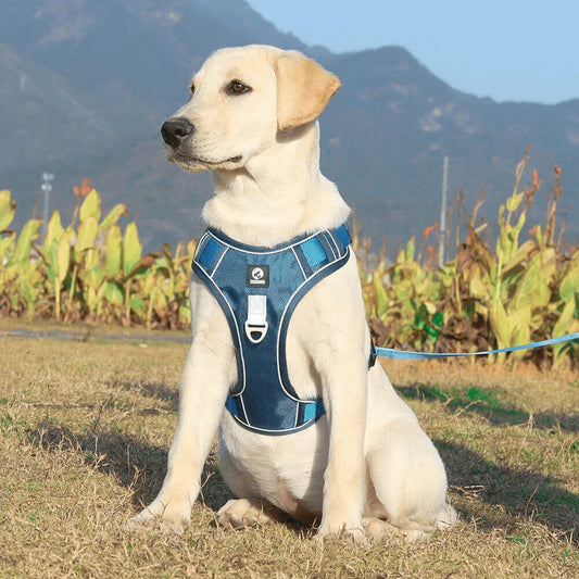 Secure Grip Anti-Pull Harness for Dogs