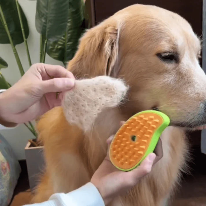 Brush with Soft Steam for Pets